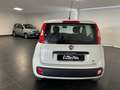 Fiat New Panda PANDA 1.2 NEOPATENTATI 69CV GARANZIA P.CONSEGNA Beige - thumbnail 8