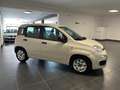 Fiat New Panda PANDA 1.2 NEOPATENTATI 69CV GARANZIA P.CONSEGNA Beige - thumbnail 5