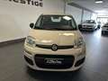 Fiat New Panda PANDA 1.2 NEOPATENTATI 69CV GARANZIA P.CONSEGNA Beige - thumbnail 3