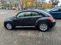 Volkswagen Beetle Lim. Design BMT SSD Panoramd Bi-Xenon Aut Schwarz - thumbnail 30