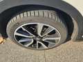 Nissan Qashqai 1.5 dCi 360 TEKNA UNICO PROP. - NEOPATENTATI Weiß - thumbnail 6