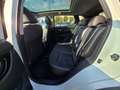 Nissan Qashqai 1.5 dCi 360 TEKNA UNICO PROP. - NEOPATENTATI Weiß - thumbnail 11