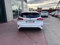 Ford Focus 1.0 EcoBoost Hybrid 155 CV 5p. ST Line Wit - thumbnail 6