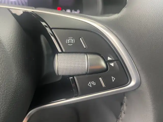 Skoda Kamiq view 14