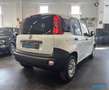 Fiat Panda 1.3 mjt 80cv Van 2p. *PREZZO+IVA* Weiß - thumbnail 5