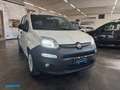 Fiat Panda 1.3 mjt 80cv Van 2p. *PREZZO+IVA* Weiß - thumbnail 2