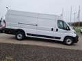Peugeot Boxer Kasten L4H2 BlueHDi180 Heavy - NEW MODEL Blanc - thumbnail 6