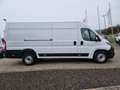 Peugeot Boxer Kasten L4H2 BlueHDi180 Heavy - NEW MODEL Blanc - thumbnail 7