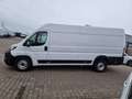 Peugeot Boxer Kasten L4H2 BlueHDi180 Heavy - NEW MODEL Blanc - thumbnail 4