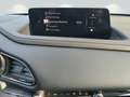 Mazda CX-30 e-SKYACTIVE X 186 Aut. HOMURA Beige - thumbnail 8