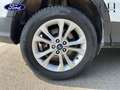 Ford Kuga 1.5 TDCi 120ch Stop\u0026Start Titanium 4x2 + HAYO Blanc - thumbnail 13