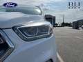 Ford Kuga 1.5 TDCi 120ch Stop\u0026Start Titanium 4x2 + HAYO Blanco - thumbnail 16