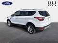 Ford Kuga 1.5 TDCi 120ch Stop\u0026Start Titanium 4x2 + HAYO Blanc - thumbnail 7