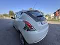 Lancia Ypsilon 1.2 8v S MomoDesign ecochic Gpl 69cv E6 - thumbnail 11