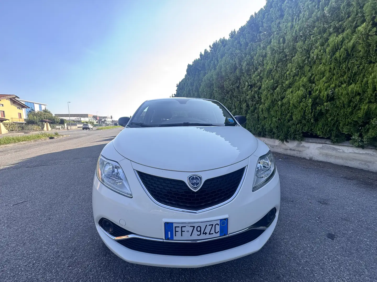 Lancia Ypsilon 1.2 8v S MomoDesign ecochic Gpl 69cv E6 - 1