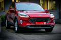 Ford Kuga 2,0 EcoBlue AWD Titanium Aut. *LED*ALLRAD* Rouge - thumbnail 8