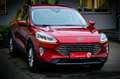Ford Kuga 2,0 EcoBlue AWD Titanium Aut. *LED*ALLRAD* Rouge - thumbnail 10