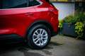 Ford Kuga 2,0 EcoBlue AWD Titanium Aut. *LED*ALLRAD* Rouge - thumbnail 12