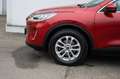 Ford Kuga 2,0 EcoBlue AWD Titanium Aut. *LED*ALLRAD* Rouge - thumbnail 11