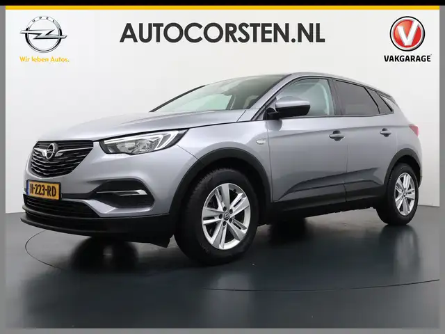 Opel Grandland X view 8