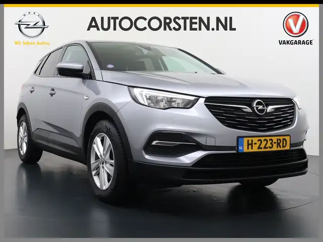 Opel Grandland X view 6