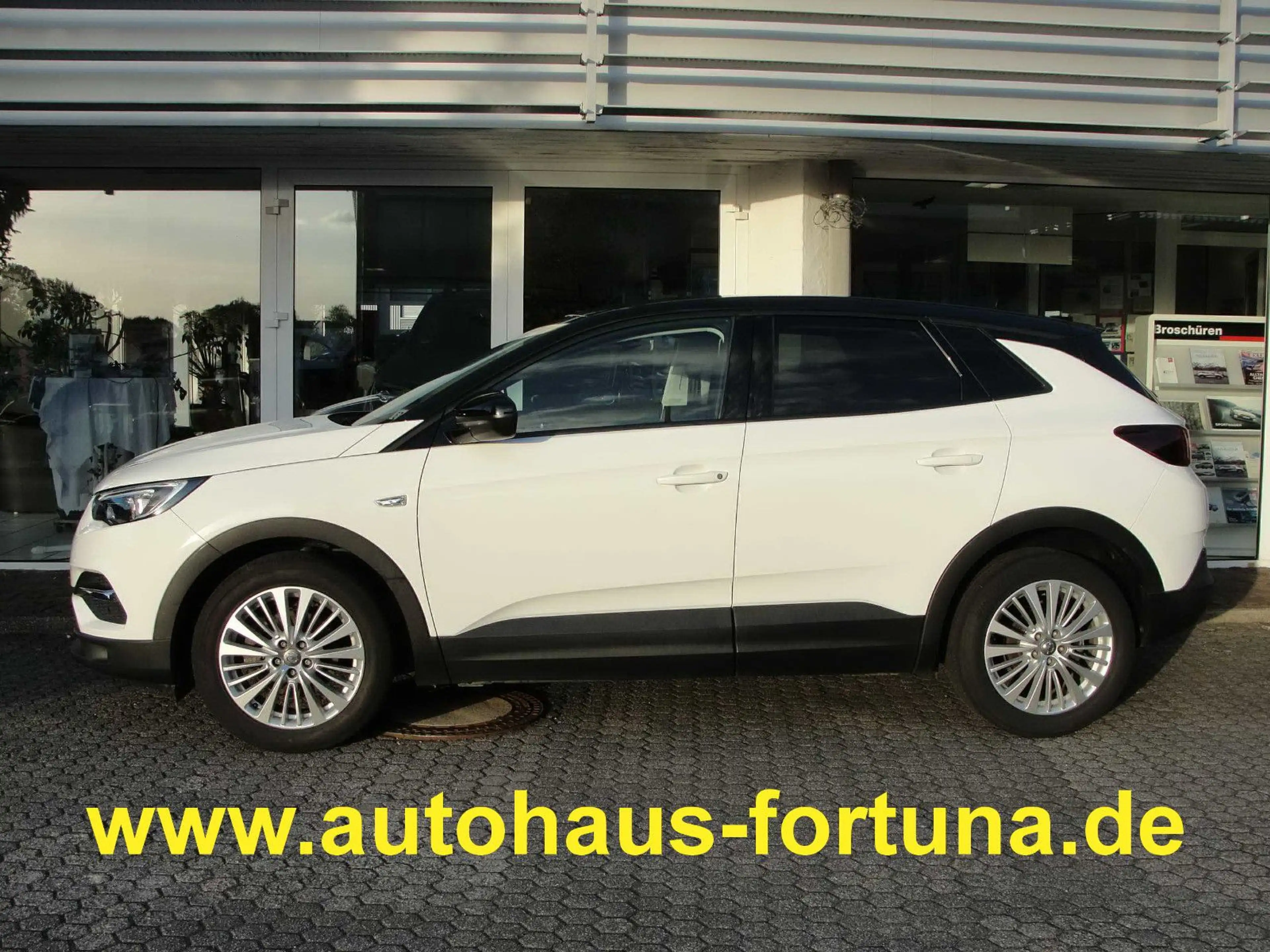 Opel Grandland X Kamera Navigation — photo 3