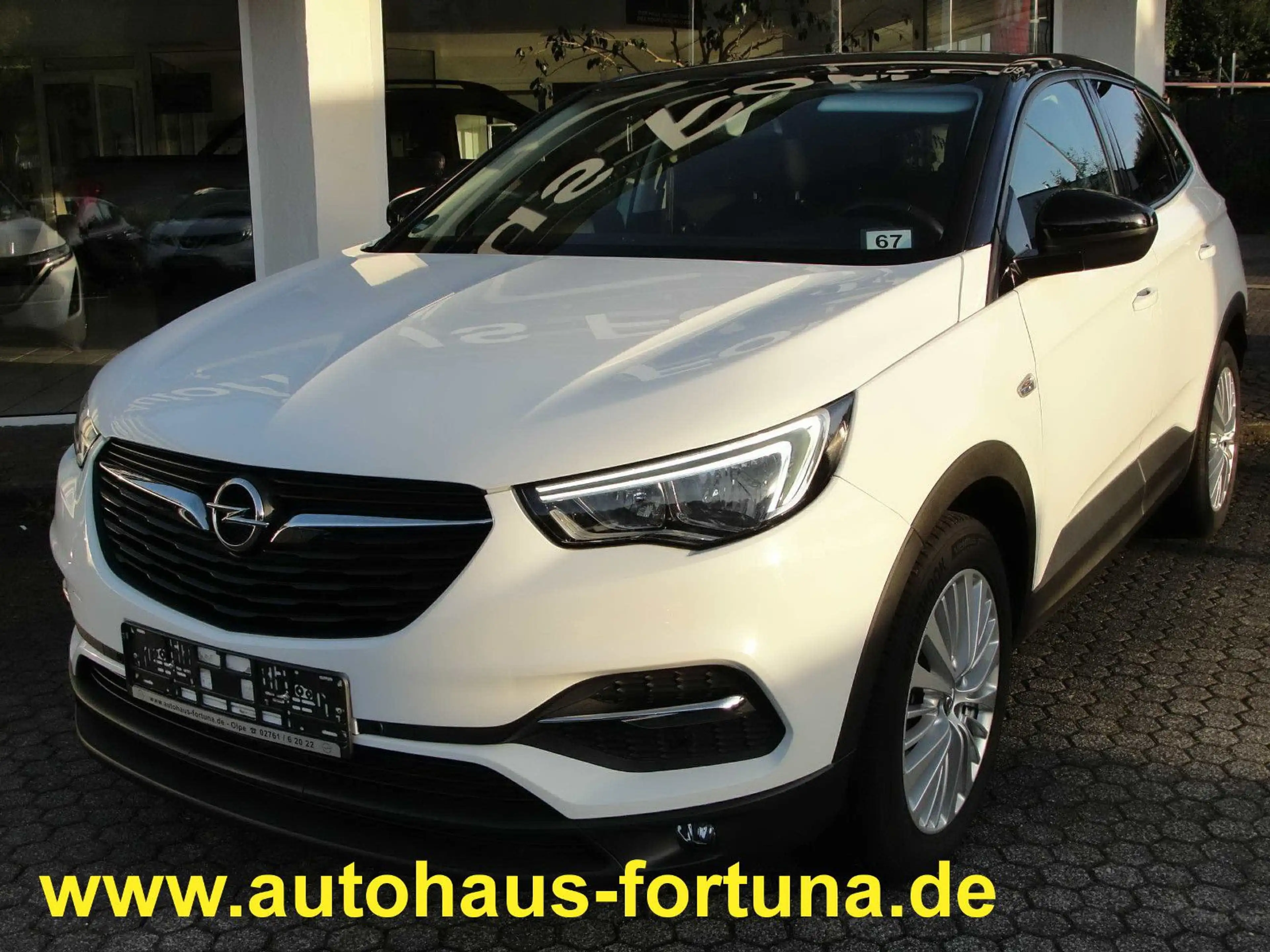 Opel Grandland X Kamera Navigation — photo 2