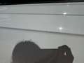 Volkswagen Polo 1.0 75 SS First Edition Blanc - thumbnail 32