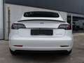 Tesla Model 3 Performance l Dual Performance l Facelift Weiß - thumbnail 16