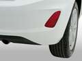 Ford Fiesta 1.0 EcoBoost S/S Trend+ 100 Blanco - thumbnail 24