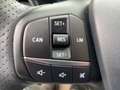 Ford Fiesta 1.0 EcoBoost ST-Line LED*NAVI*SHZ*SYNC*LM Grau - thumbnail 19