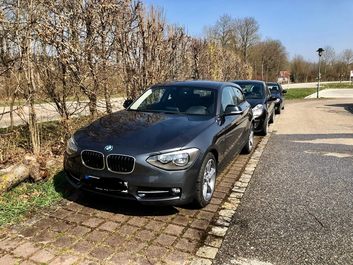 BMW 116 116d EfficientDynamics Edition Sport Line Šedá - 1