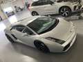 Lamborghini Gallardo Gallardo 5.0i V10 Argent - thumbnail 2