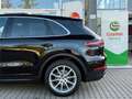 Porsche Cayenne 3,0/PANORAMADACH/HEAD-UP/20"LM/RFK/APPL Schwarz - thumbnail 10