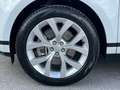 Land Rover Range Rover Evoque 2.0D I4 MHEV SE AWD Aut. 163 Weiß - thumbnail 9