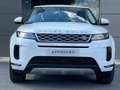 Land Rover Range Rover Evoque 2.0D I4 MHEV SE AWD Aut. 163 Weiß - thumbnail 8