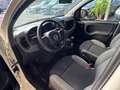 Fiat Panda 1.0 70CV HYBRID EURO 6D POP VAN 2 posti CARPLAY Blanc - thumbnail 8
