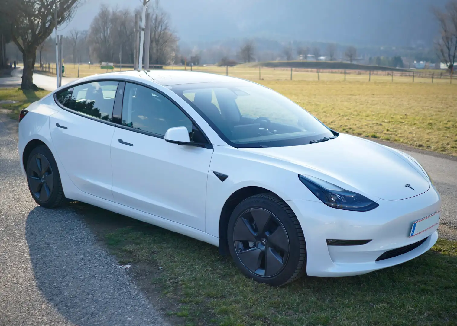 Tesla Model 3 Tesla Model 3 Maximale Reichweite Limousine Weiß - 1