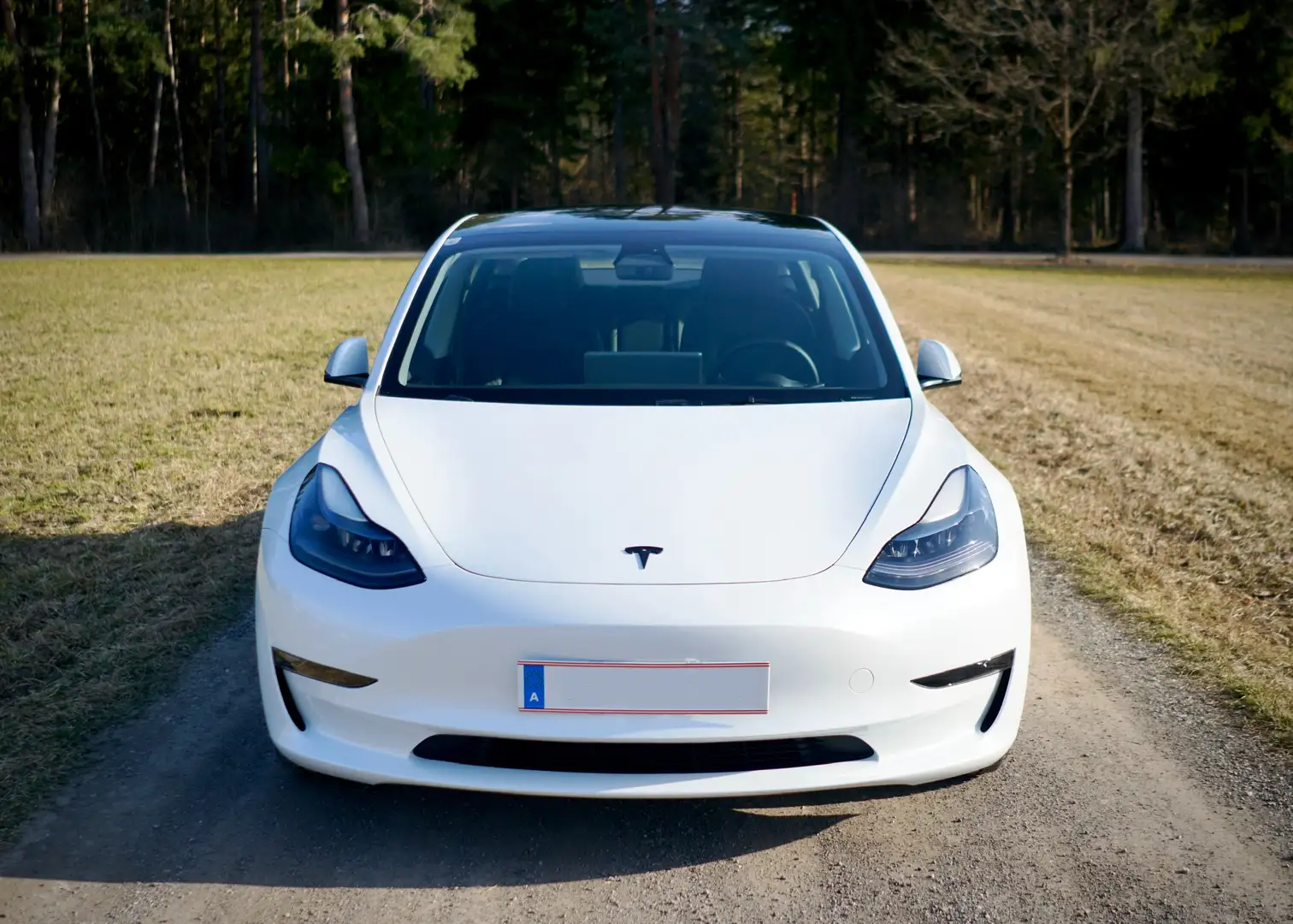 Tesla Model 3 Tesla Model 3 Maximale Reichweite Limousine Weiß - 2
