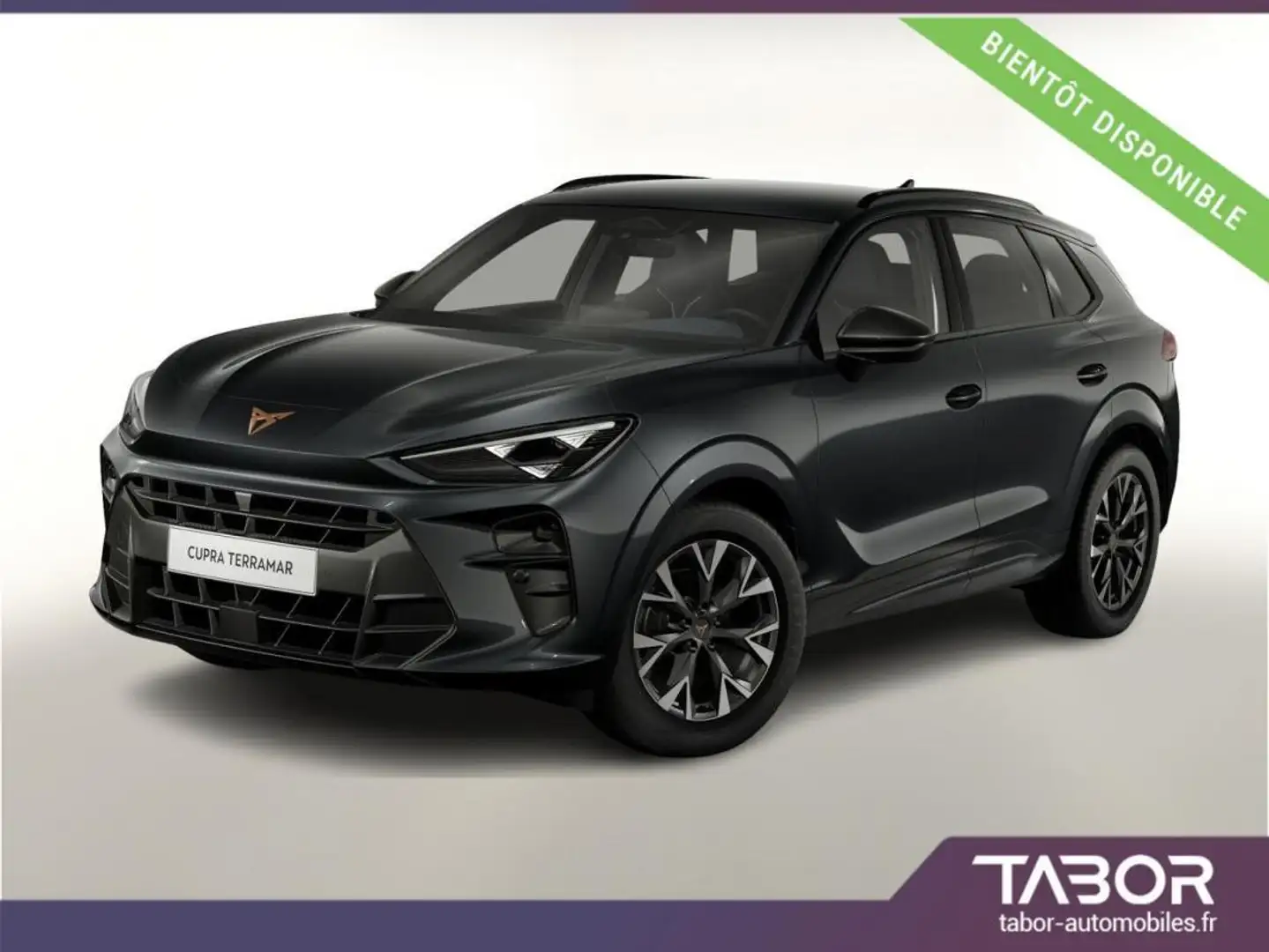 CUPRA Terramar 1.5 eTSI 150 DSG LED VirCo cam Gris - 1
