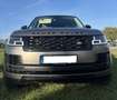 Land Rover Range Rover 4.4D SDV8 Autobiography 4WD Aut. Gris - thumbnail 3