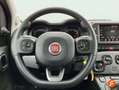 Fiat Panda City Life Hybrid 1.0 Gse 51kw (70CV) Rojo - thumbnail 11