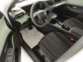 Lancia Ypsilon Hybrid e-DCT Bianco - thumbnail 9