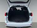 Ford Focus Turnier ST-Line 1.5 TDCi Navi AppleCarPlay Android Blanc - thumbnail 11