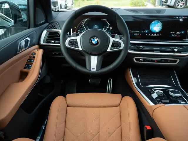 BMW X5 X5 view 13
