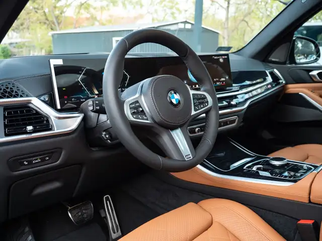 BMW X5 X5 view 12