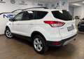 Ford Kuga 2,0 EcoBoost 4x4 Klima*Tempomat*Kamera*TÜV. Weiß - thumbnail 12