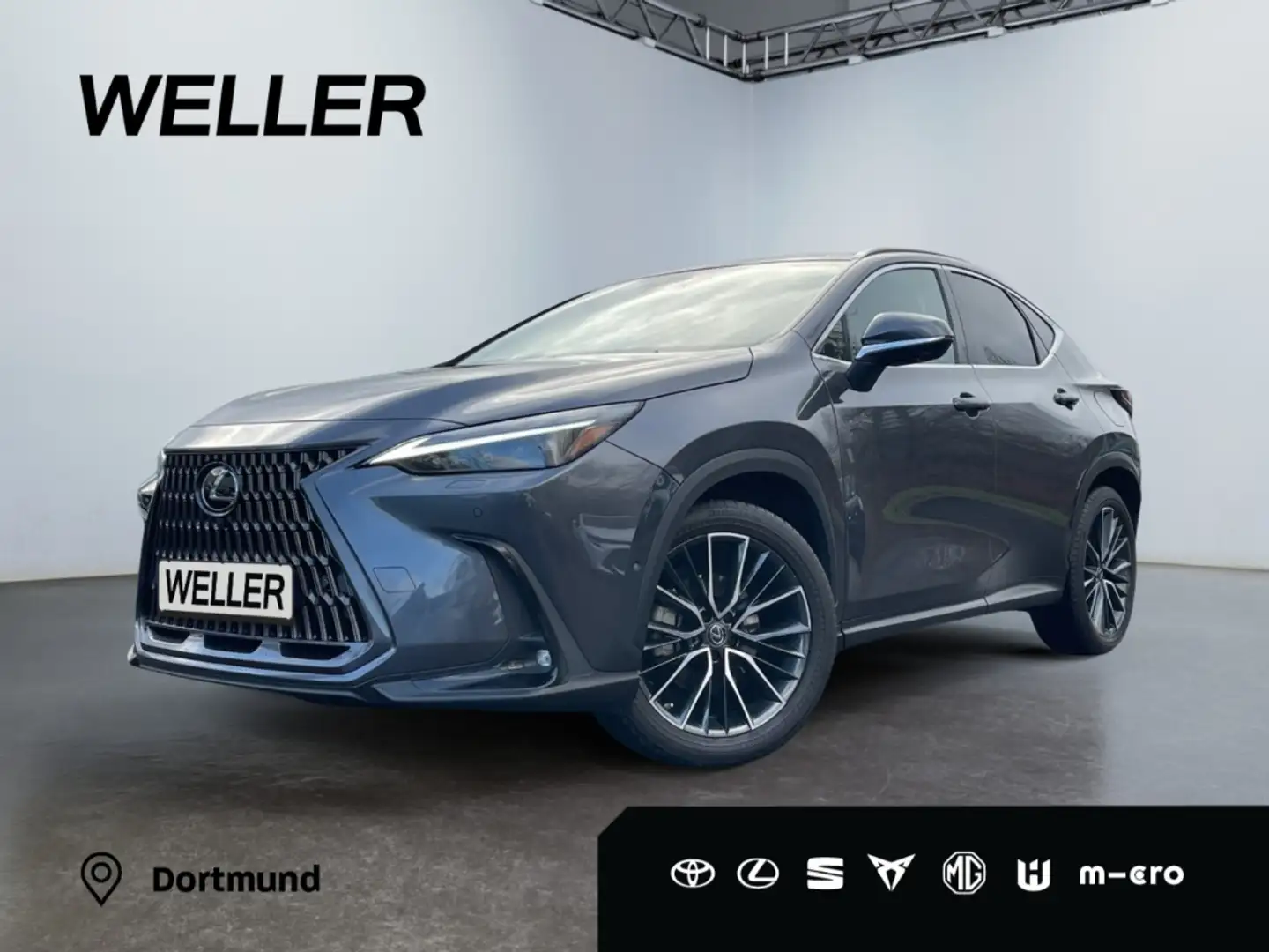 Lexus NX 350h Luxury Line *Pano*HUD*360*Navi*LED*SHZ* Grau - 1