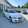 BMW 316 Serie 3 F30 2011 Berlina 316d - thumbnail 3