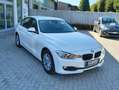 BMW 316 Serie 3 F30 2011 Berlina 316d - thumbnail 13